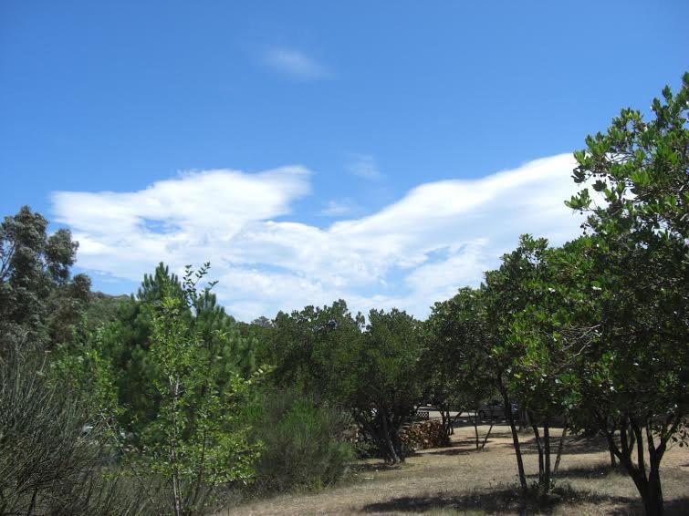 Camping California Pinarellu  Ngoại thất bức ảnh